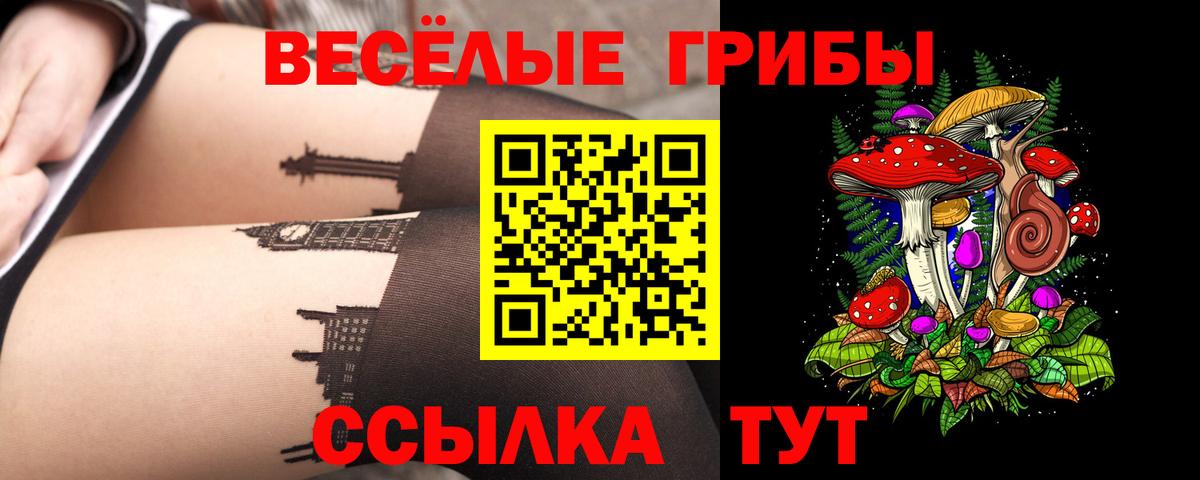 Псилоцибиновые грибы GOLDEN TEACHER  Вход с VPN  Псилоцибиновые грибы Psilocybe  Амурск 