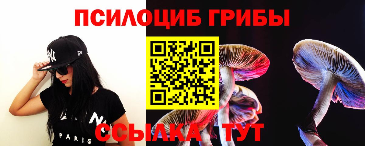 Псилоцибиновые грибы Psilocybe Амурск